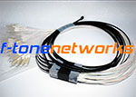 电信级SC/UPC SM 12芯 带状尾纤 吸塑包装