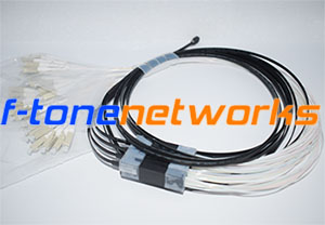SC/UPC 万兆OM3 50/125um 多模12芯尾纤